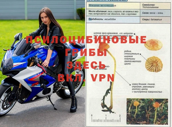 скорость mdpv Алексеевка