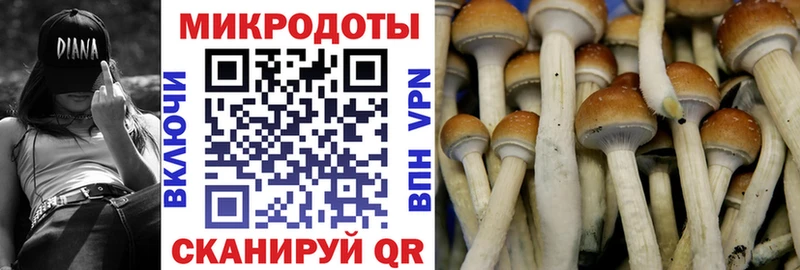 Галлюциногенные грибы MAGIC MUSHROOMS  цены   Рубцовск 