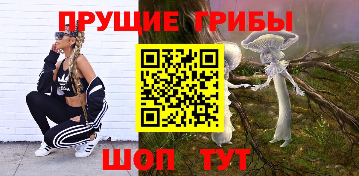 Меф Рубцовск