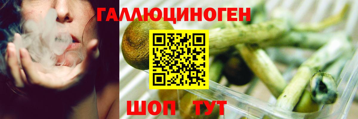 Галлюциногенные грибы Magic Shrooms  Вход с VPN  Рубцовск 